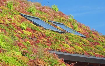 North Cliffe living roof systems