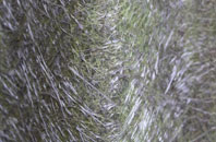 North Cliffe fibreglass roof work